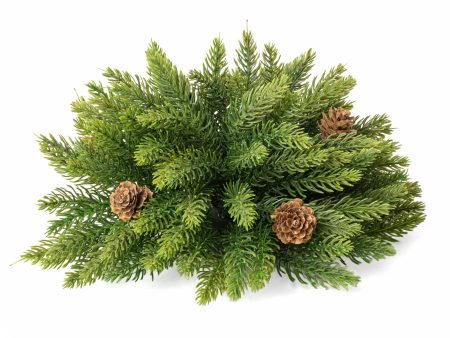 11  Evergreen Spruce Fir Half Ball Sphere For Cheap