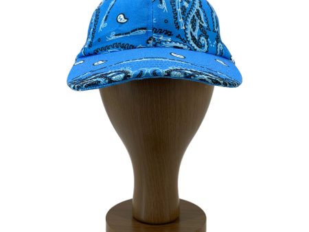 THE WORLD IS YOURS Cap Blue Polyester Paisley  Supply