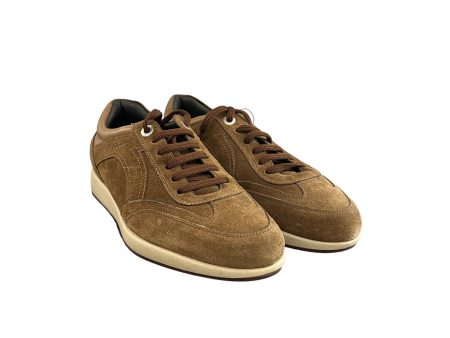 Salvatore Ferragamo Low-Sneakers US 6 Suede BRW brown lace For Sale