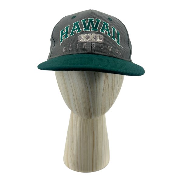 HawaiiRainbows College Cap FREE Gray  Online