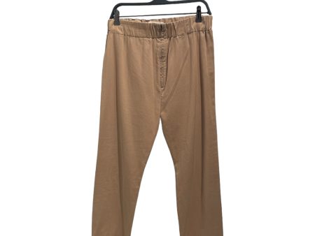 MARNI   Straight Pants 42 Cotton BEG  Plain M [Street] Hype  Fashion