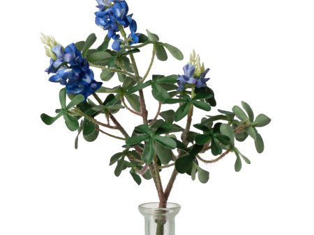 11  Bluebonnet Spray Online Sale