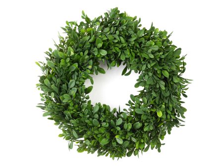 12  Evergreen Boxwood Wreath on Twig Frame Discount