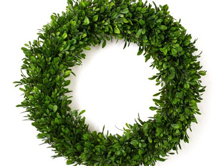 18  Evergreen Boxwood Wreath on Twig Frame Online Sale