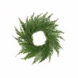 12  Faux Cedar Arborvitae Candle Ring For Sale