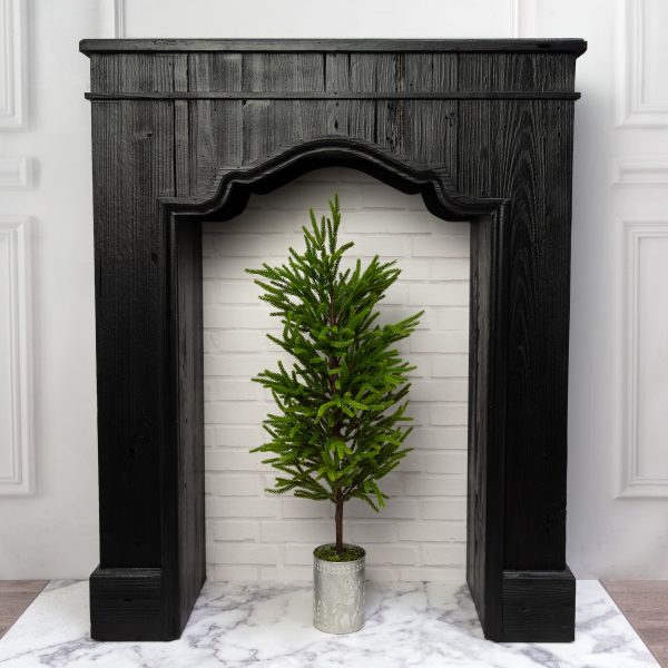 32  Norfolk Pine Potted Tree For Discount