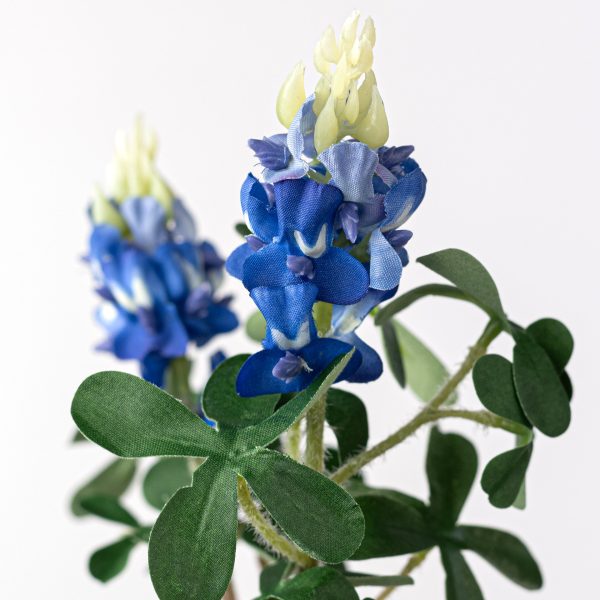 11  Bluebonnet Spray Online Sale