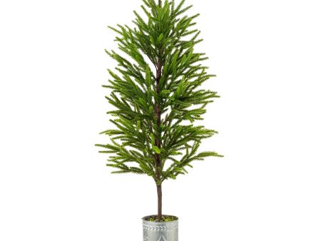 32  Norfolk Pine Potted Tree For Discount