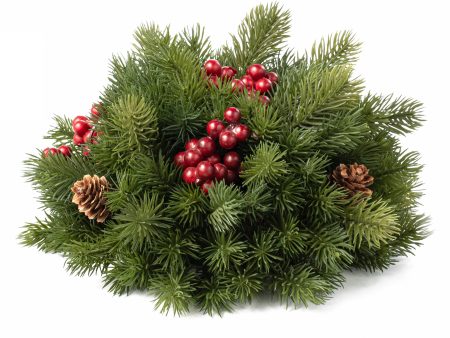 10  Evergreen Balsam Fir Half Ball Sphere Online now